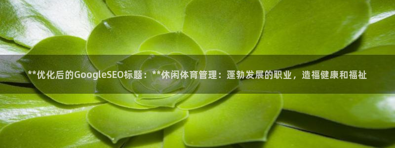必一运动sport爱
