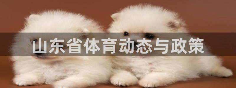 必一体育在线登陆