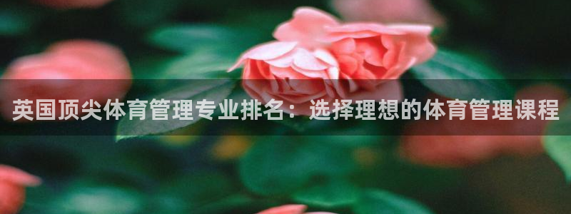 必一体育官方下载