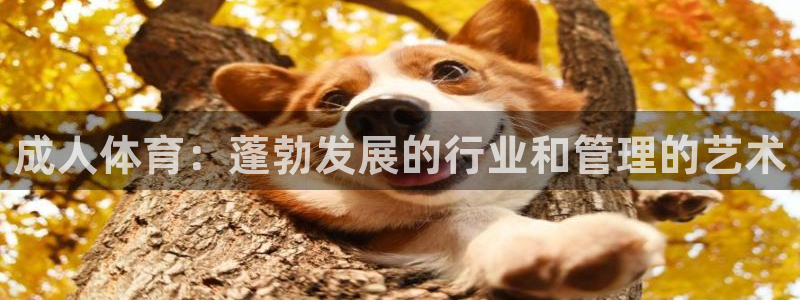 必一体育bsport