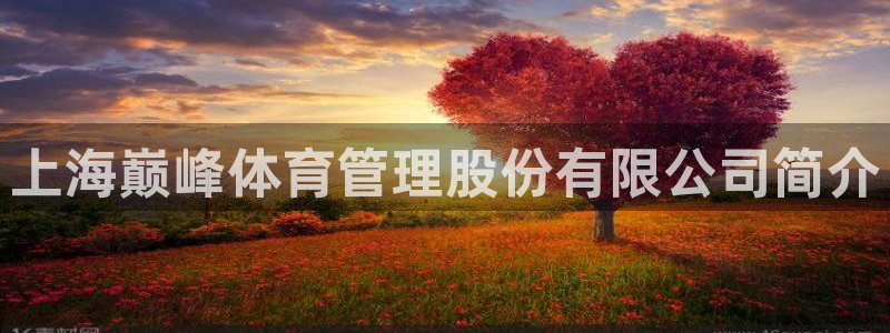 必一体育运动app：