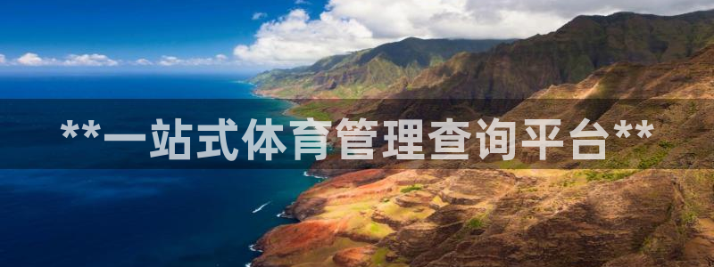 必一体育在哪下