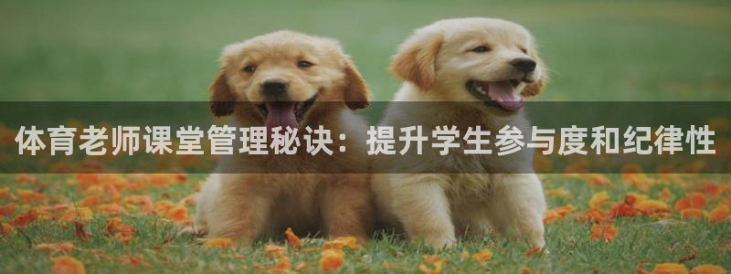 必一体育APP下载安装