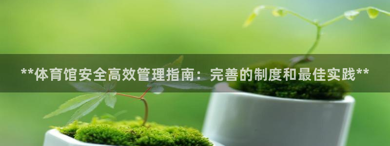 必一体育流水线是什么