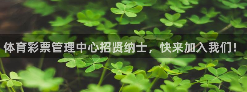 必一体育下载意思：体