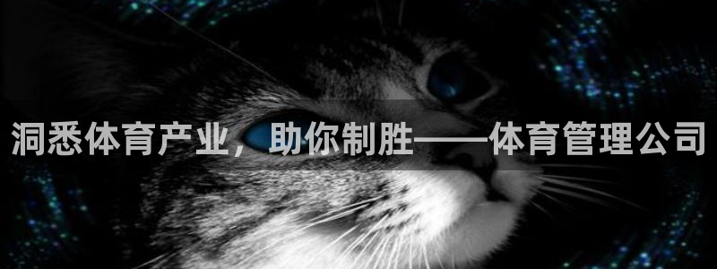 Bsport体育app必一