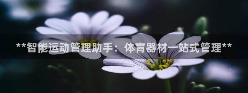 必一体育官方下载入口