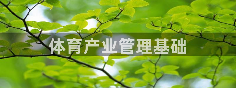 必一体育app下载