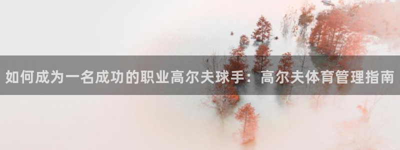 b体育必一运动网页版在线登录入口