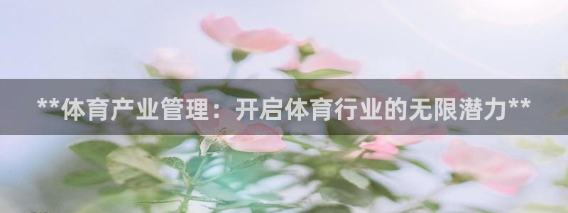 必一体育官网入口：*