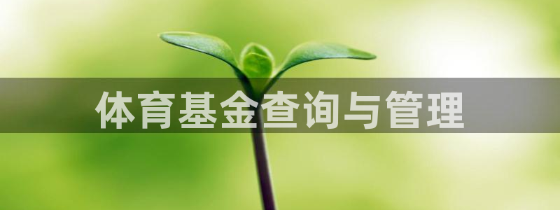必一体育