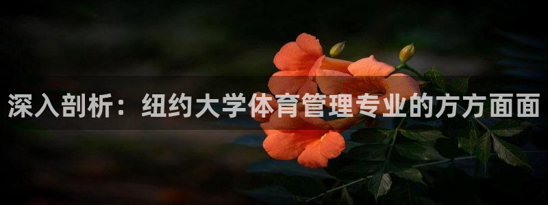 必一体育流水线是什么意思