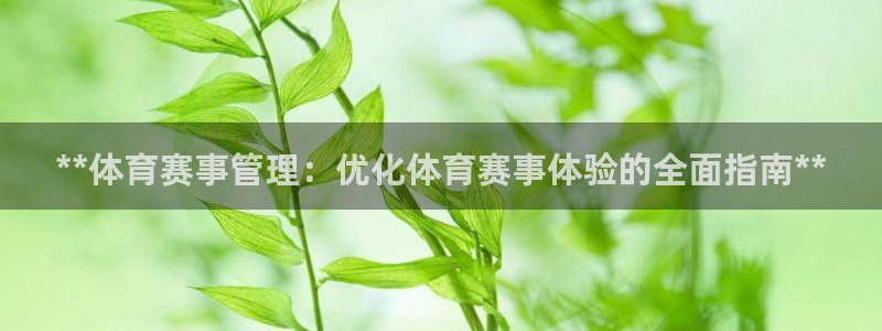 必一体育app下载装