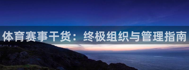 Bsport体育app必一