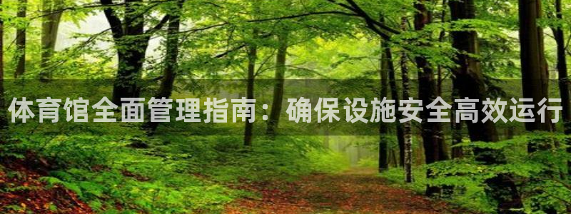 必一体育运动下载：体