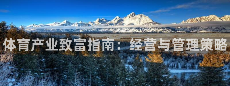 必一体育官网app