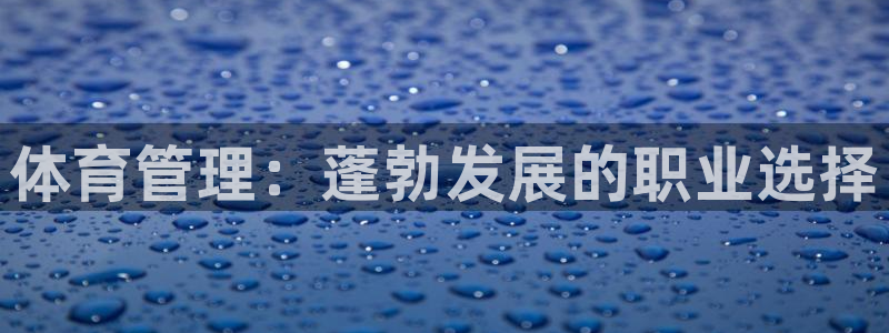必一体育网页登录版官网