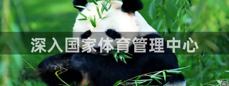 必一体育在线玩：深入