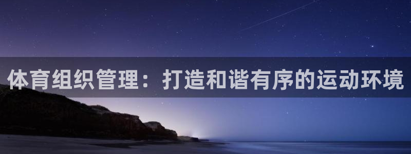 必一体育登录APP下
