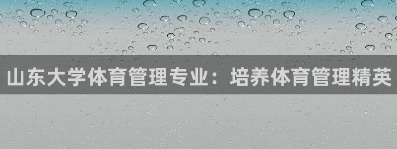 必一体育网站
