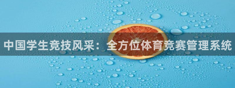 必一体育sportB
