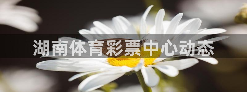 必一体育sport网页版