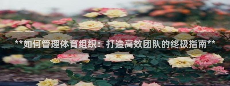 必一体育运动下载