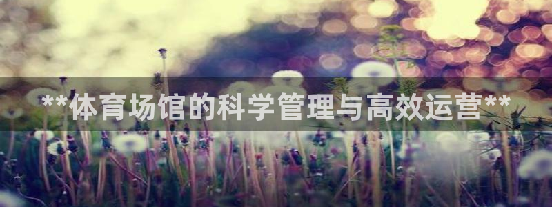 必一体育sport：