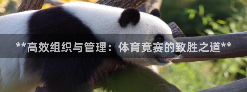 必一体育sport