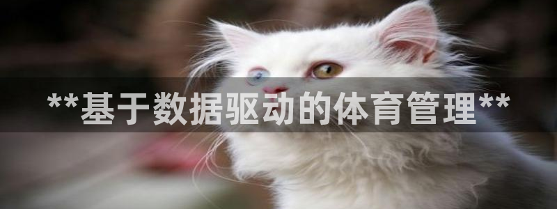 必一体育手机下载：*