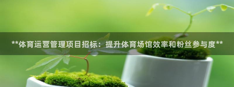 必一体育app下载装
