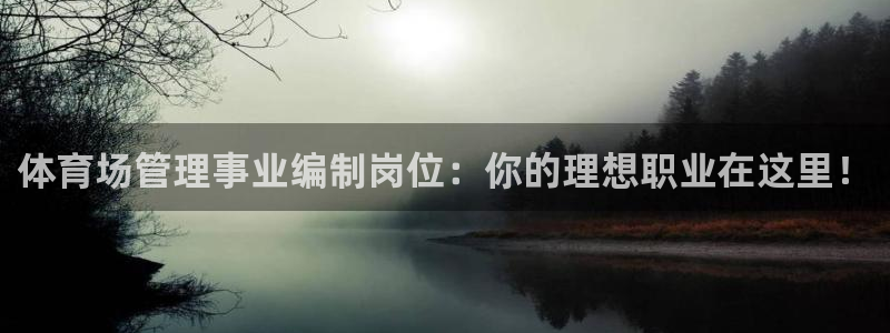 Bsport体育必一