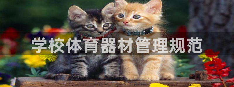 必一运动·(B-Sports)