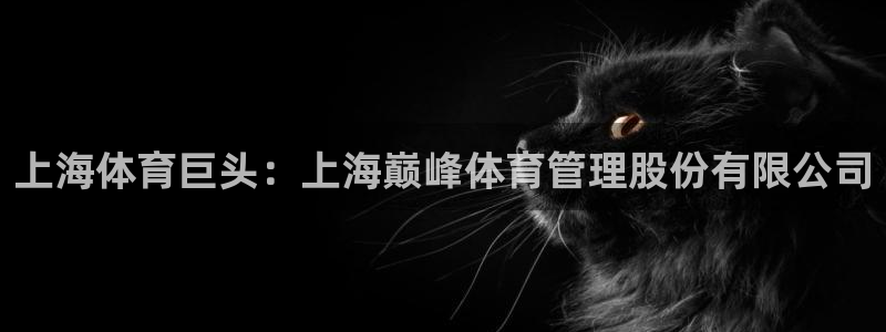 必一运动体育官网下载