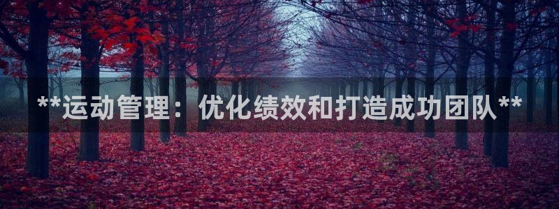 必一体育