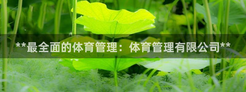 必一运动sport爱