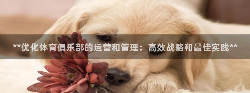 必一体育网页登陆：*