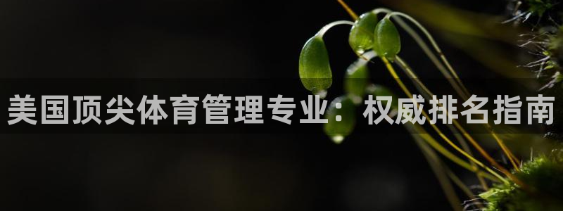 必一体育运动官网