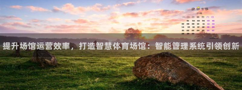 必一体育合法吗：提升