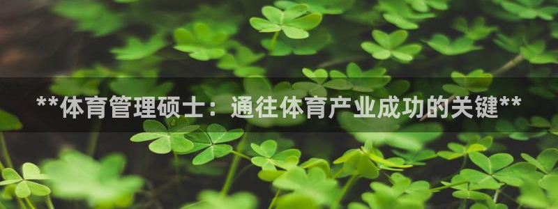 必一体育官网入口：*