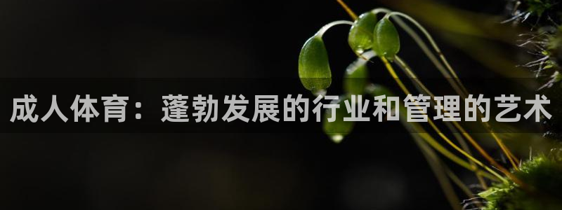 必一体育sportB