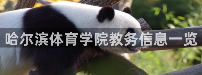 必一体育app官方