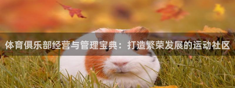 必一体育能提现大金额吗