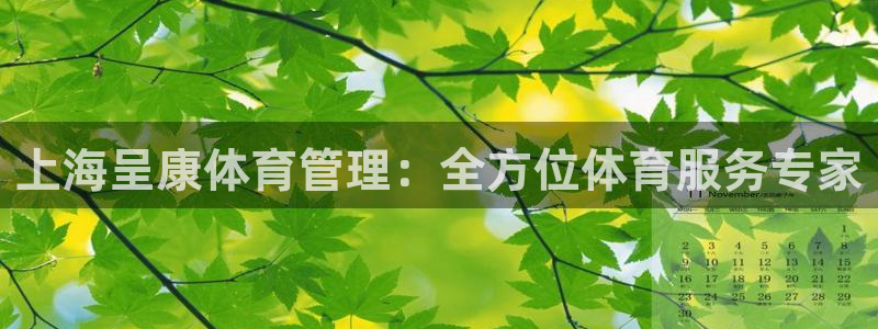 必一体育游戏特色