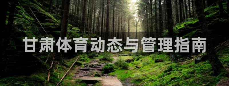 必一体育sport官方网站