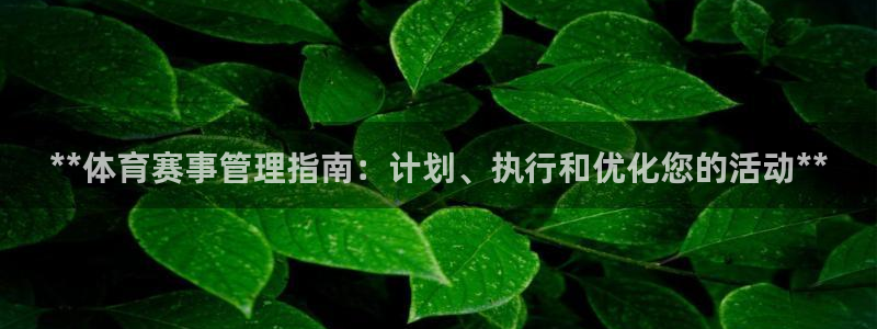 必一体育怎么下载