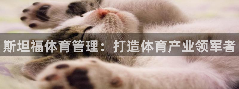 必一体育服下载最新版本更新内容