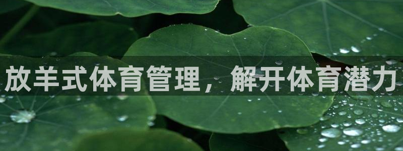 必一体育下载登入：放