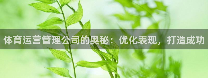 必一体育官方网站入口
