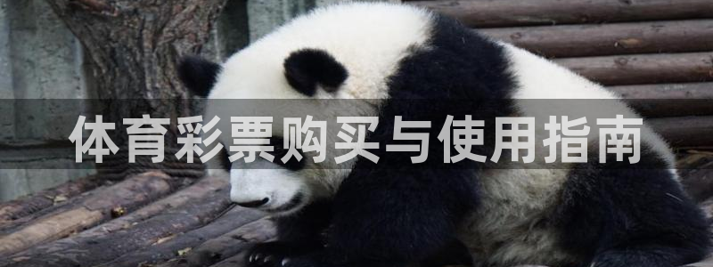 必一体育服下载最新版本更新内容